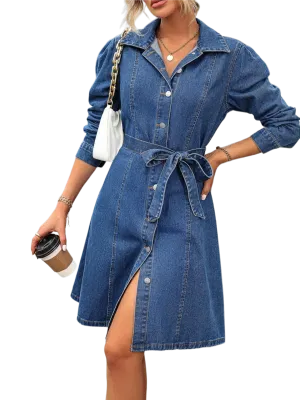 Button Down Long Sleeve Denim Dress