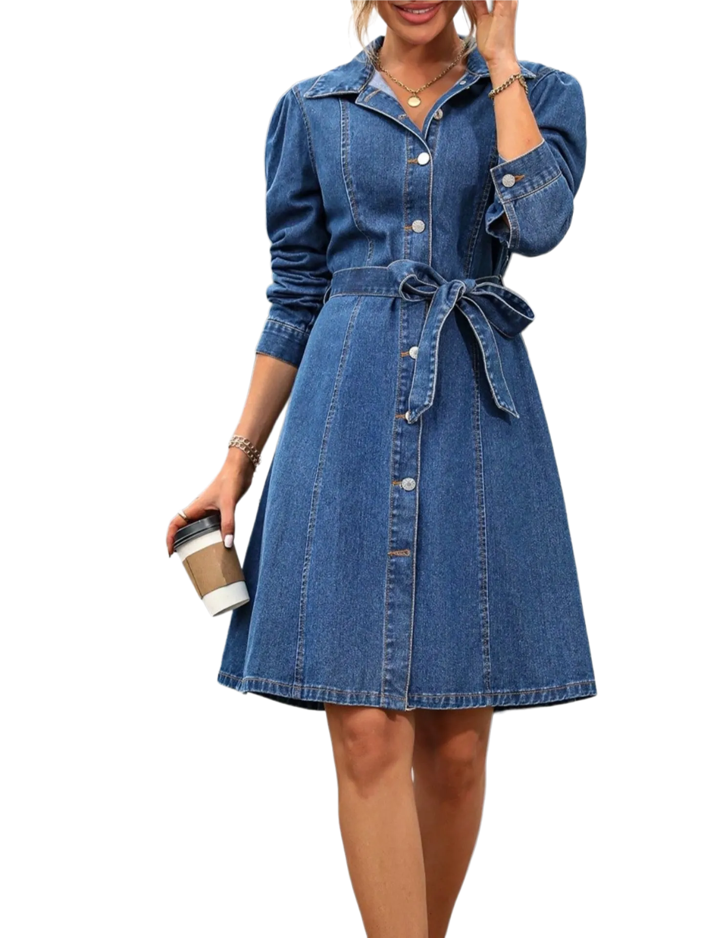 Button Down Long Sleeve Denim Dress